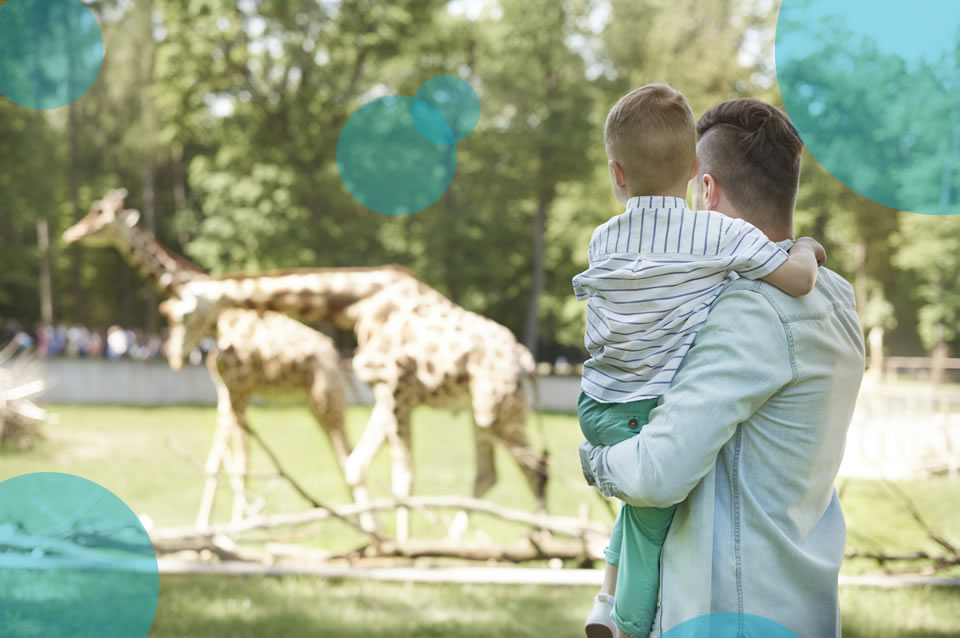 eSmart™ Experience